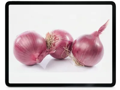 red onion.webp load=